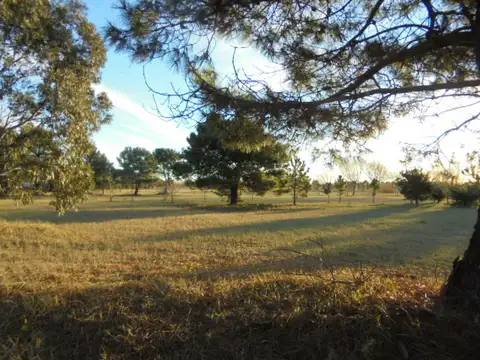 Lote - Venta - Argentina, Mar de Ajó