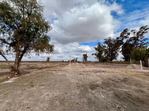 CAMPO DE 120 HECTÁREAS EN VENTA - LAVALLE