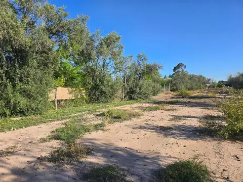 Terreno en Venta de 3100,0 m2