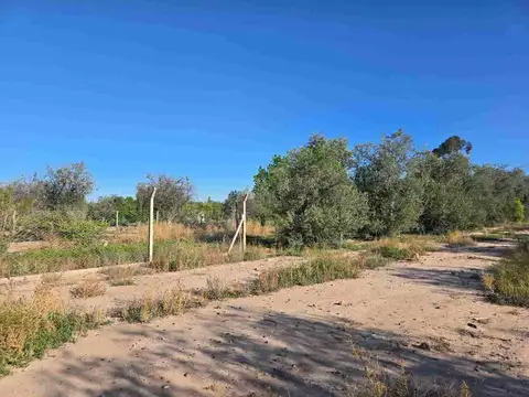 Terreno en Venta de 3100,0 m2