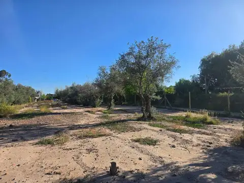 LOTE / TERRENO - COQUIMBITO - BODEGAS - TURISMO