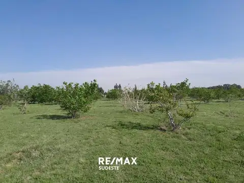 Terreno en Venta en Tornquist, USD 400.000