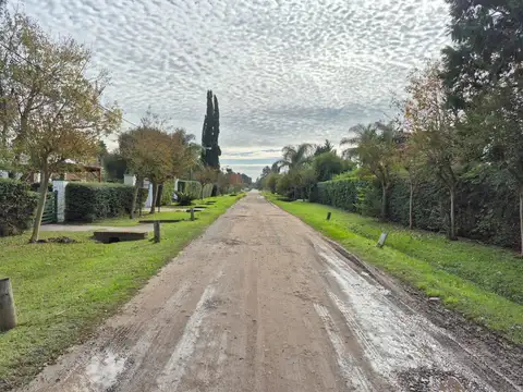 Barrio Sakura - Garcilaso de la Vega 500 - Exaltacion de la Cruz