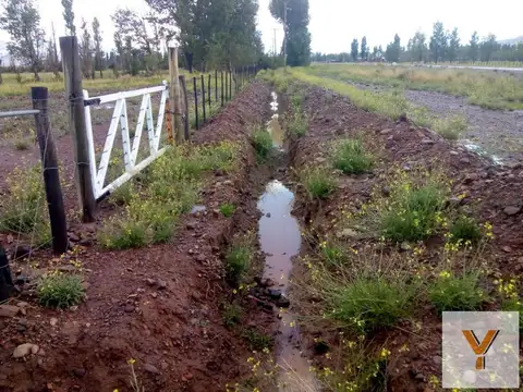 Campo en venta - 13 Hectáreas - Mendoza