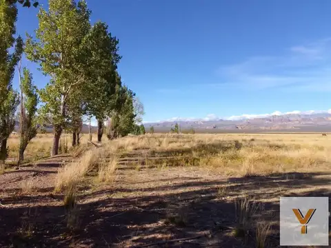 Campo en venta - 13 Hectáreas - Mendoza
