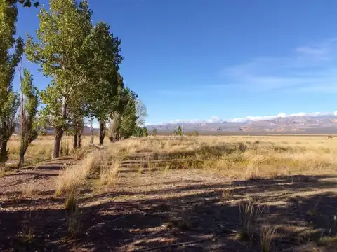 Campo en venta - 13 Hectáreas - Mendoza