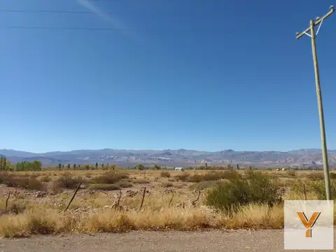 Campo en venta - 13 Hectáreas - Mendoza