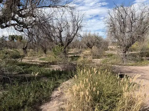 Terreno en Venta de 13563,0 m2