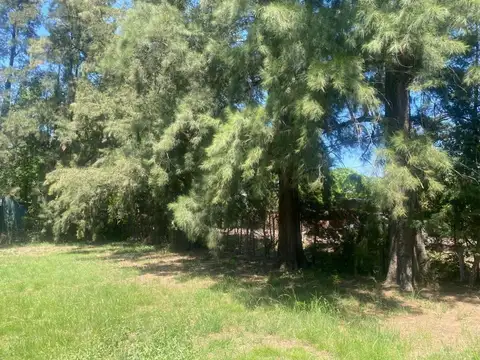 Quinta en Venta 20 años