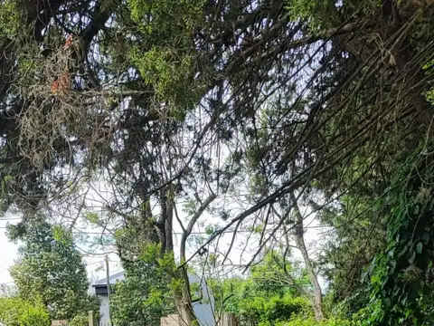 LOTE CON PROPIEDAD EN CONTRUCCIÓN EN VENTA - VILLA ELISA