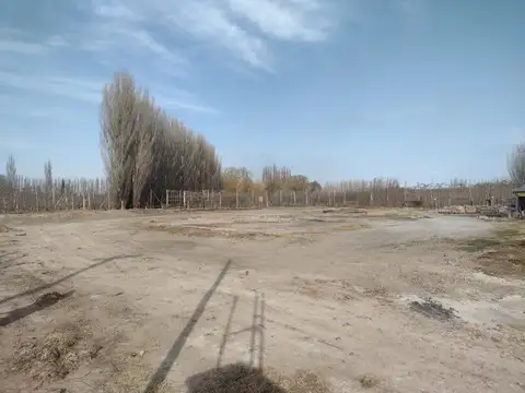 Terreno en Alquiler en Allen, USD 3.000