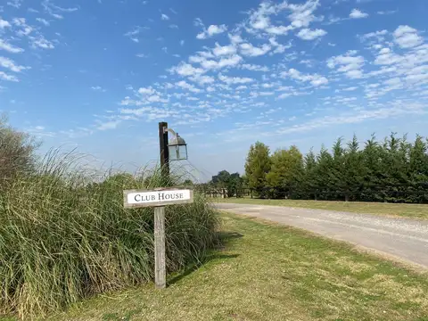 ruta 41
