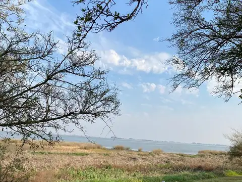 Terreno en Venta 119  mts Fondo