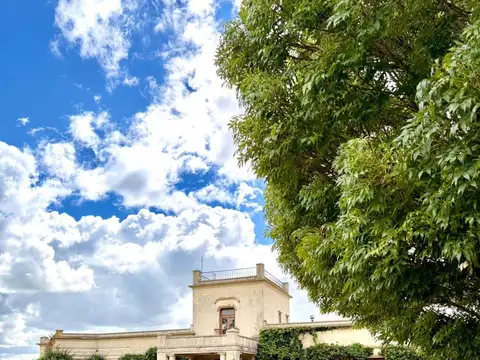 Terreno en Venta 119  mts Fondo