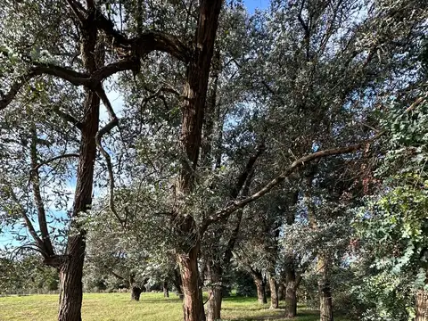 Terreno en Venta de 1250,0 m2
