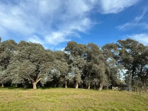 Terreno en Venta en San Antonio de Areco, USD 118.000