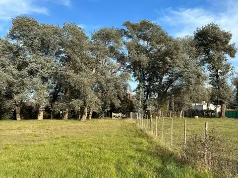 Terreno en Venta de 1250,0 m2