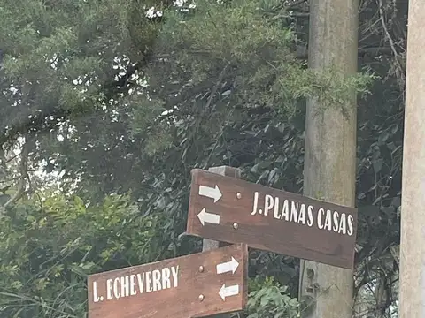 Calle Jose Planas Casas