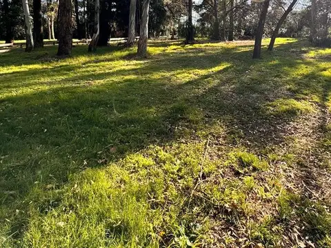 Terreno en Venta 73  mts Fondo