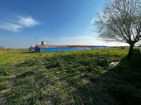 Vendo Campo de 3,5 Has con granja en Pronunciamiento, Entre Ríos.