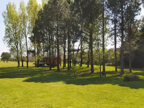 El Nacional Club de Campo 100
