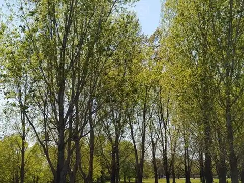Terreno en Venta en El Nacional Club De Campo, USD 37.000