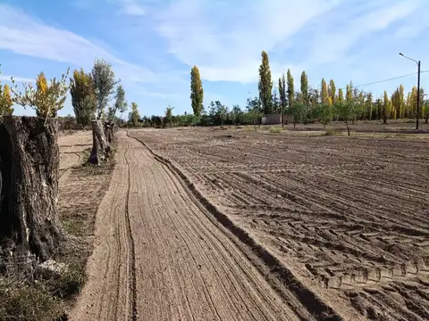 VENTA LOTES LA POSTA JUNIN MENDOZA