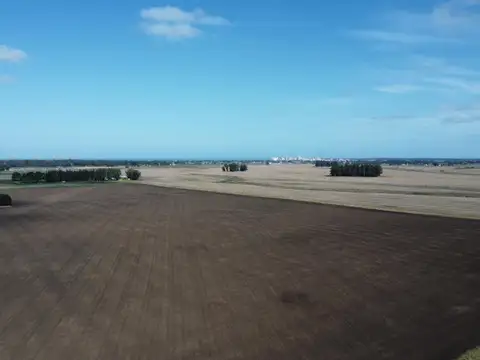 Campo en venta - 537 Hectáreas - General Alvarado