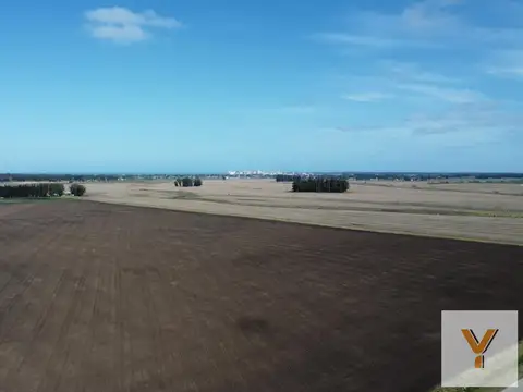 Campo en venta - 537 Hectáreas - General Alvarado