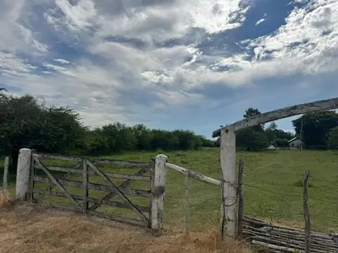 Ruta Prov, 56 -sauce