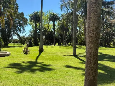 Estancia de Campo "Las Yucas" - Monasterio - Lezama - Provincia de Buenos Aires
