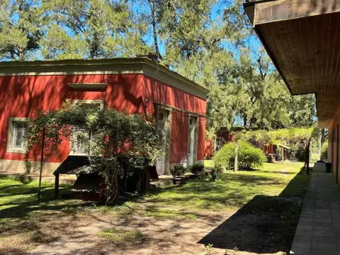 Estancia de Campo "Las Yucas" - Monasterio - Lezama - Provincia de Buenos Aires