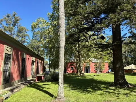 Ruta 2 Km. 144 - Monasterio - Partido de Lezama , Piso 0