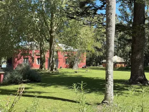 Estancia de Campo "Las Yucas" - Monasterio - Lezama - Provincia de Buenos Aires