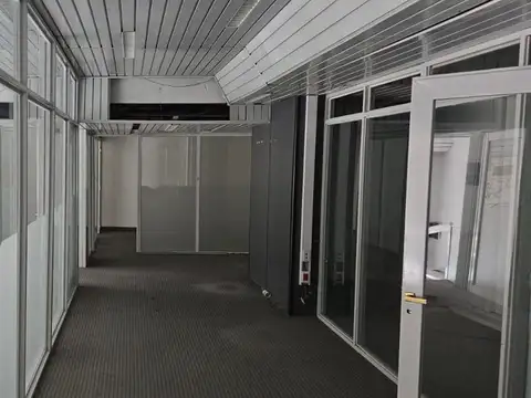 Carlos H Rodriguez 100