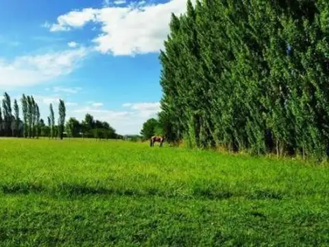 Terreno en Venta en La Ranita, USD 32.000