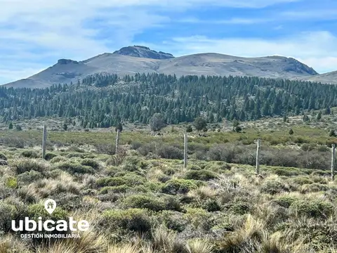 Barrancas de Dina Huapi