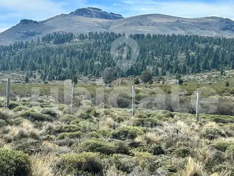 Barrancas de Dina Huapi