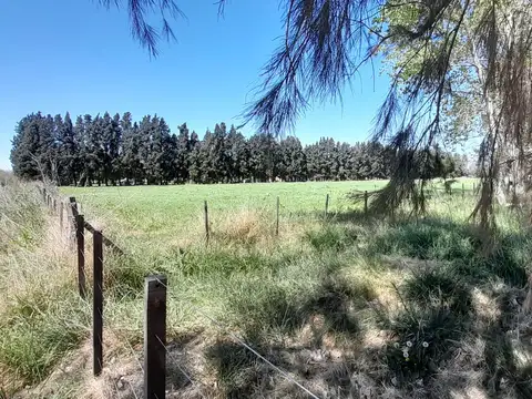 Quinta en Venta en Mercedes, USD 290.000