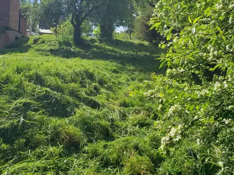 Terreno en Venta de 517,0 m2