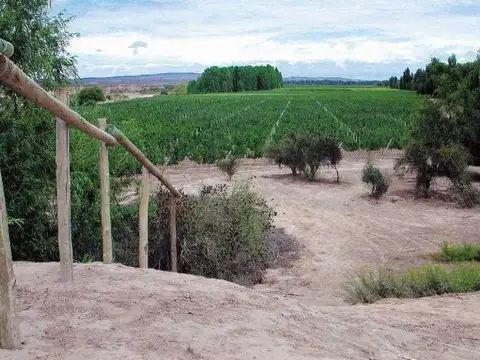 Barrancas - Ruta Provincial 14