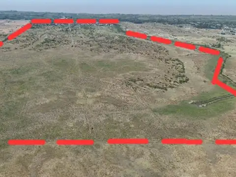 VENTA CAMPO GANADERO DE 162 HAS(LOS TALAS/BERISSO)