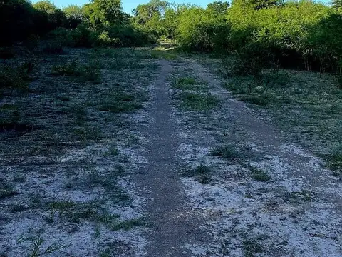 Zona rural La Gallareta 100
