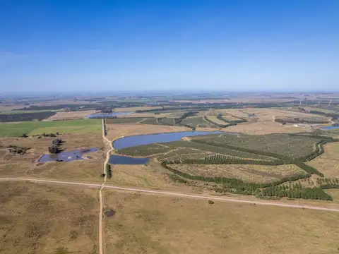 Campo en Venta Mixto