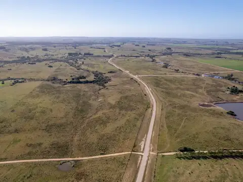 Chacra de 25 has. en Garzón 100