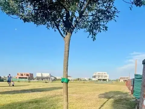 Costas PUERTOS 100