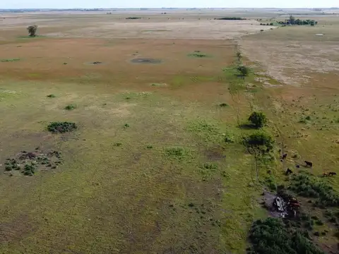 Alquiler de campo en Vieytes