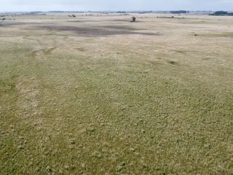 Alquiler de campo en Vieytes