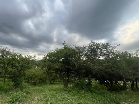 TERRENO EN VENTA EN MAITENES DE LA DESEADA CALERA 482 M2 LISTO PARA ESCRITURAR