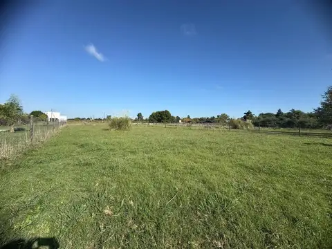 El Amparo, Lote 100